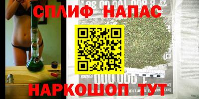 спиды Будённовск