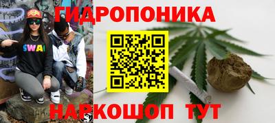 спиды Будённовск