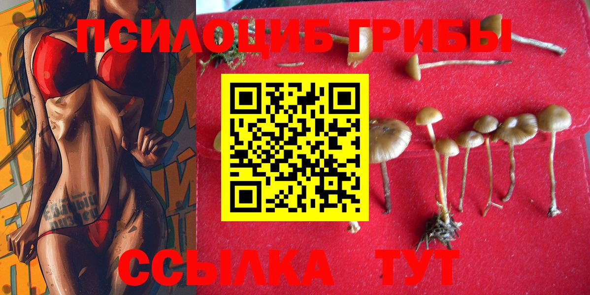 Нарткала  Псилоцибиновые грибы ЛСД  Вход с VPN 